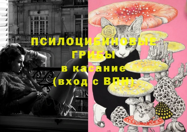 метадон Арсеньев