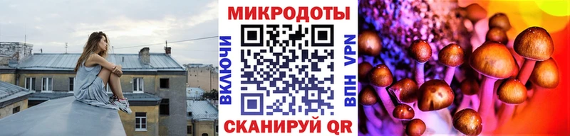 Псилоцибиновые грибы MAGIC MUSHROOMS  Буинск 